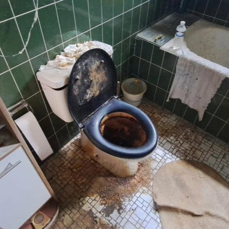 Adobe Express - file (2)